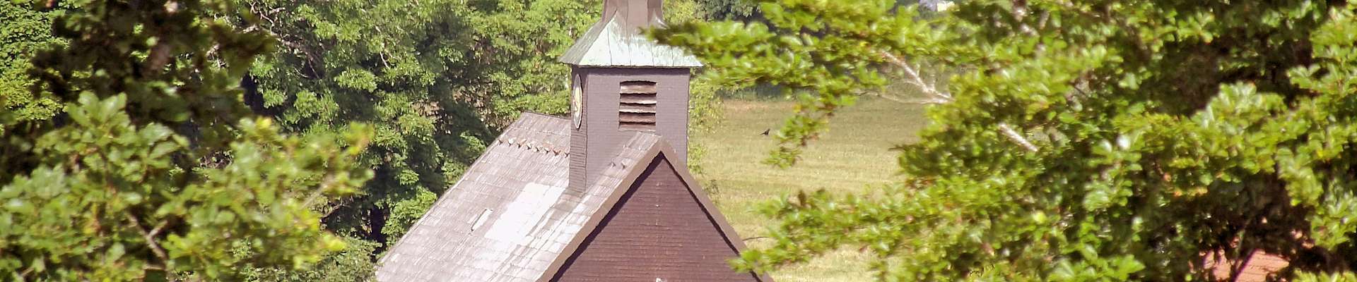 Berberzucht- und Deck-Gestüt "Hof zwei Linden" im Naturpark Südschwarzwald